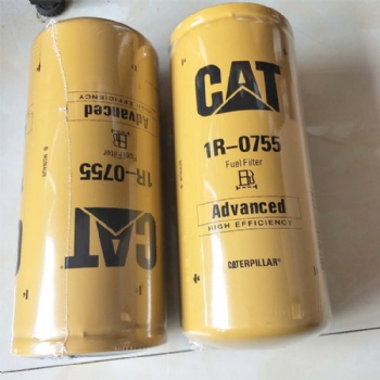 1R0755 Equipment Fuel Filter For Diesel Engine Parts High Efficiency