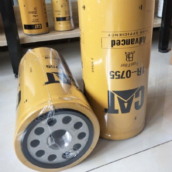 1R0755 Equipment Fuel Filter For Diesel Engine Parts High Efficiency