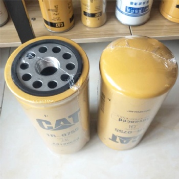 1R0755 Equipment Fuel Filter For Diesel Engine Parts High Efficiency