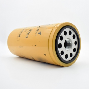 1R0755 Equipment Fuel Filter For Diesel Engine Parts High Efficiency